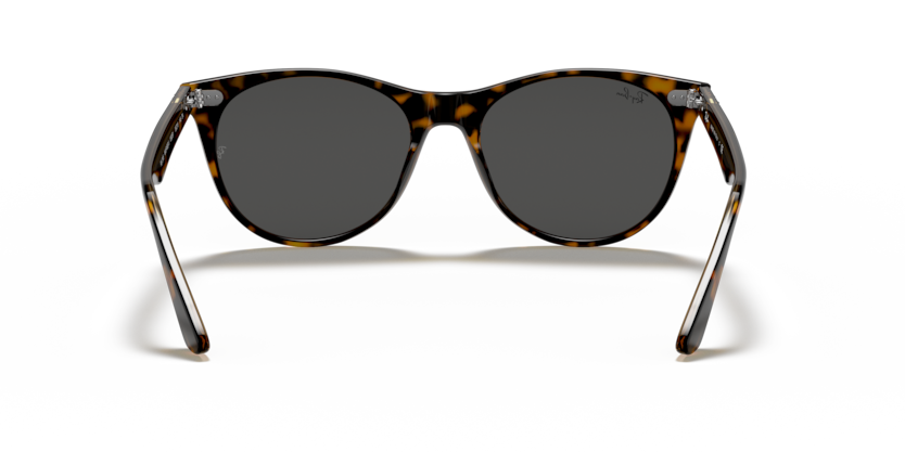 1292B1 - Havana On Transparent Brown