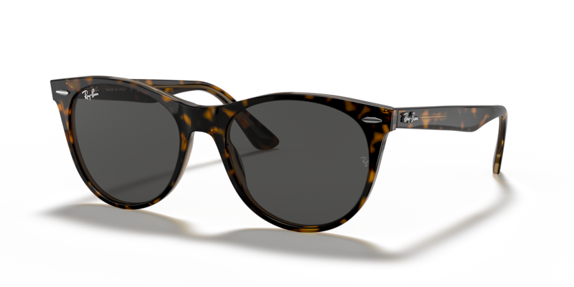 1292B1 - Havana On Transparent Brown