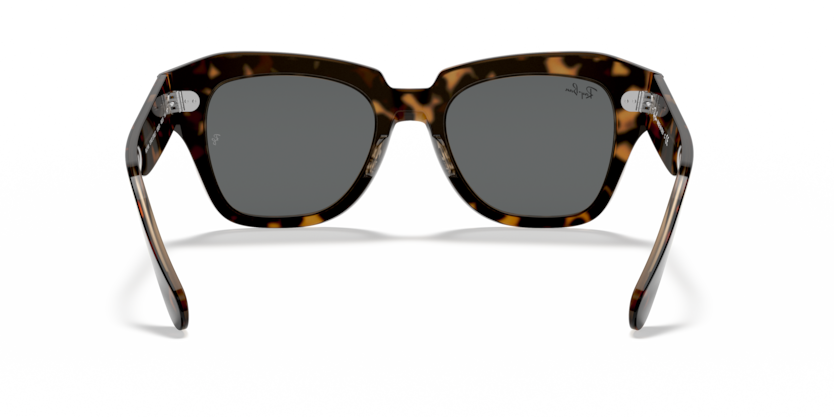 1292B1 - Havana On Transparent Brown