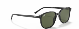 Ray-Ban RB 2193 LEONARD Sunglasses