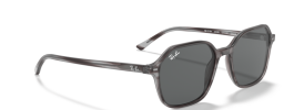 Ray-Ban RB 2194 JOHN Sunglasses