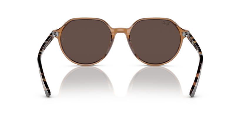 663693 - Transparent Brown