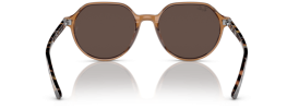 663693 - Transparent Brown