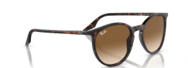 Ray-Ban RB 2204 Sunglasses