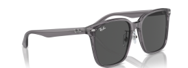 Ray-Ban RB 2206D Sunglasses