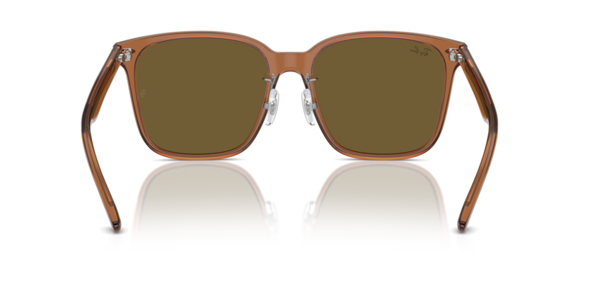 663673 - Transparent Brown