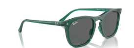 Ray-Ban RB 2210 Sunglasses