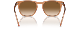 676451 - Transparent Brown