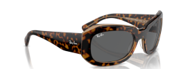 Ray-Ban RB 2212 BEATE Sunglasses