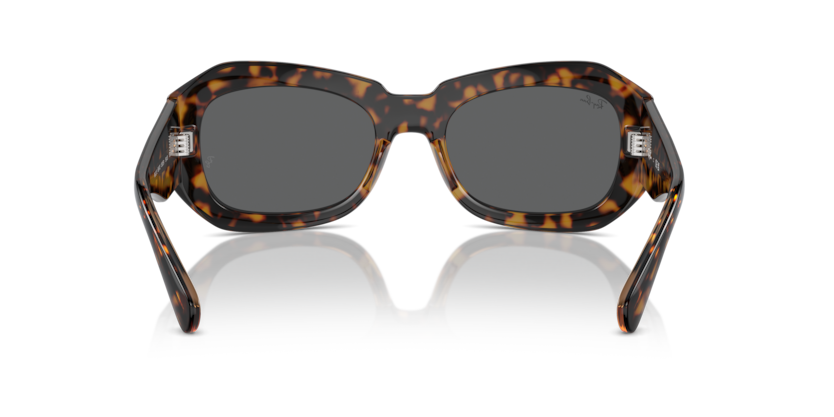 1292B1 - Havana On Transparent Brown