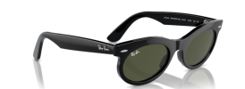 Ray-Ban RB 2242 WAYFARER OVAL Sunglasses