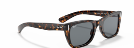 Ray-Ban RB 2248 CARIBBEAN Sunglasses