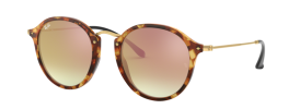 Ray-Ban RB 2447 Sunglasses