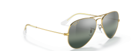 9196G6 - Gold