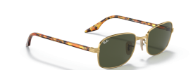 Ray-Ban RB 3690 Sunglasses