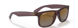 6597T5 - Transparent Dark Brown