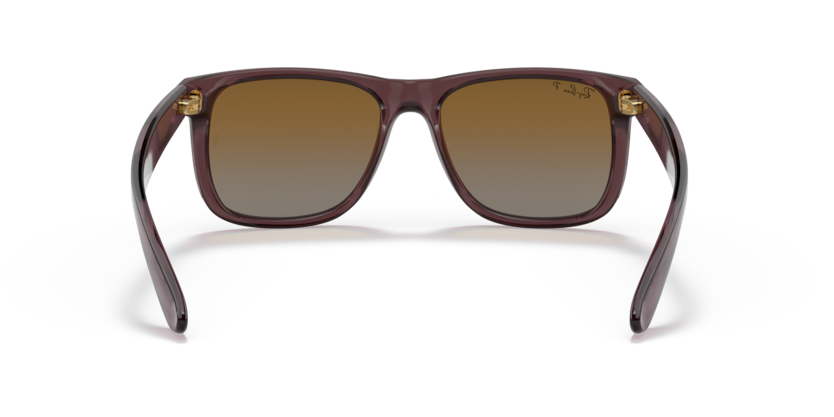 6597T5 - Transparent Dark Brown