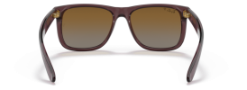 6597T5 - Transparent Dark Brown