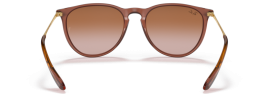 659013 - Transparent Light Brown