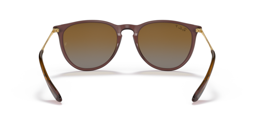 6593T5 - Transparent Dark Brown