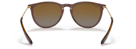 6593T5 - Transparent Dark Brown