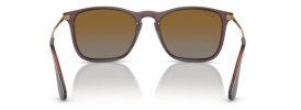 6593T5 - Transparent Brown