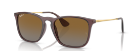 6593T5 - Transparent Brown