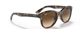 Ray-Ban RB 4203 Sunglasses