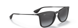 Ray-Ban RB 4221 Sunglasses