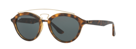 Ray-Ban RB 4257 Sunglasses