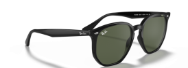 Ray-Ban RB 4306 Sunglasses