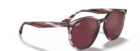 643175 - Striped Bordeaux Havana