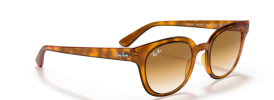 Ray-Ban RB 4324 Sunglasses