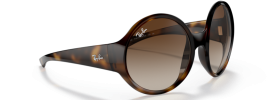 Ray-Ban RB 4345 Sunglasses