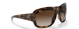 Ray-Ban RB 4347 POWDERHORN Sunglasses