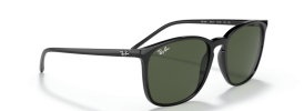 Ray-Ban RB 4387 Sunglasses