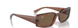 667873 - Transparent Brown