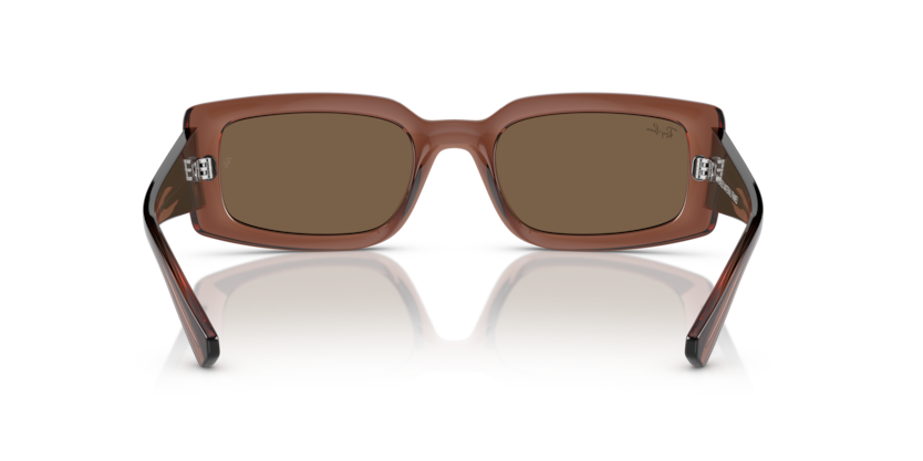 667873 - Transparent Brown