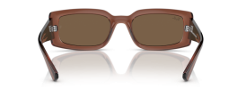 667873 - Transparent Brown