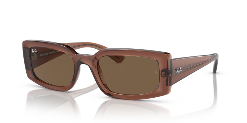 667873 - Transparent Brown