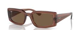 667873 - Transparent Brown