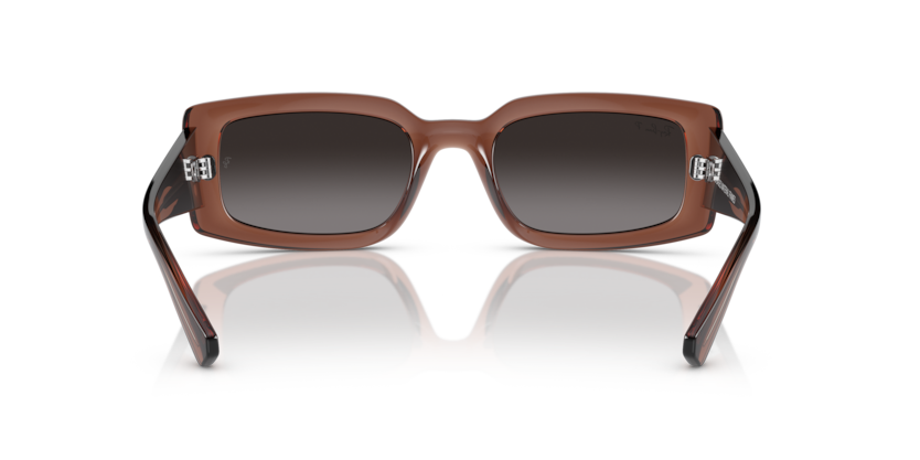 6678T3 - Transparent Brown