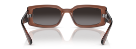 6678T3 - Transparent Brown