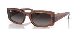 6678T3 - Transparent Brown