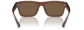 667873 - Transparent Brown