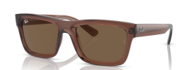 667873 - Transparent Brown