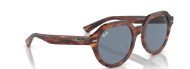 Ray-Ban RB 4399 GINA Sunglasses