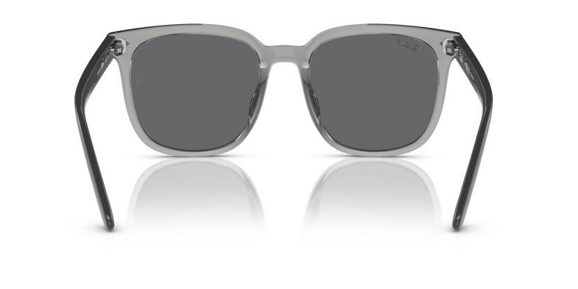 659981 - Transparent Grey