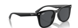 Ray-Ban RB 4420 Sunglasses