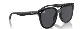 Ray-Ban RB 4423D Sunglasses